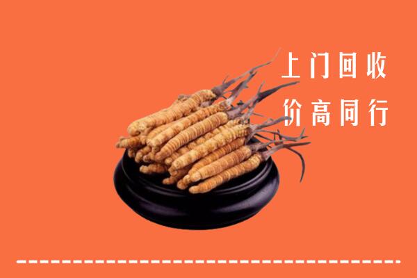 高价求购：本溪回收散虫草