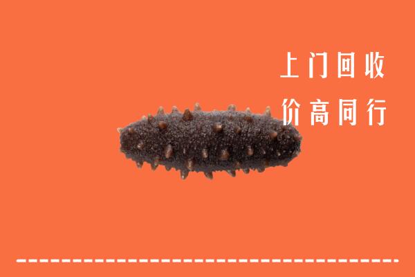 高价求购：本溪回收海参