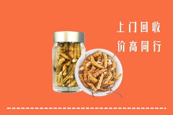 本溪回收冬虫夏草