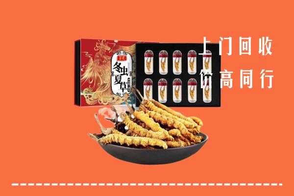 本溪回收虫草